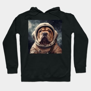 Astro Dog - Chinese Shar-Pei Hoodie